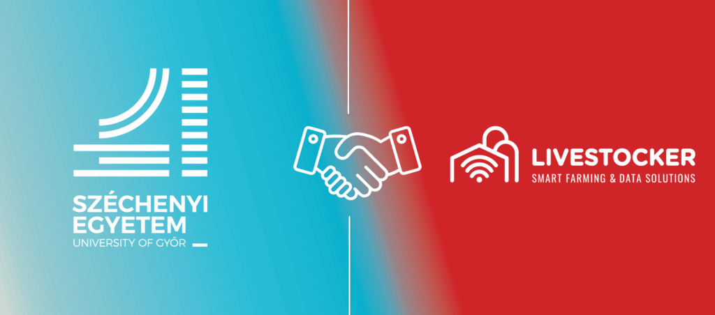 university partnership
